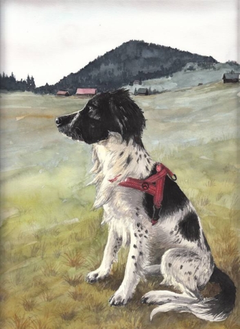 Charlie na Jizerce, 2021-12-10