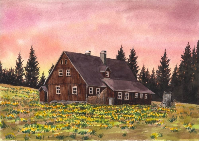 Hnojový dům s narcisy, 2025-01-17