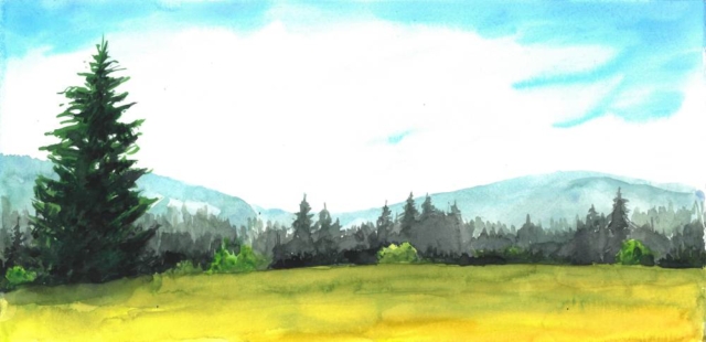 Velká jizerská louka, 2025-06-12